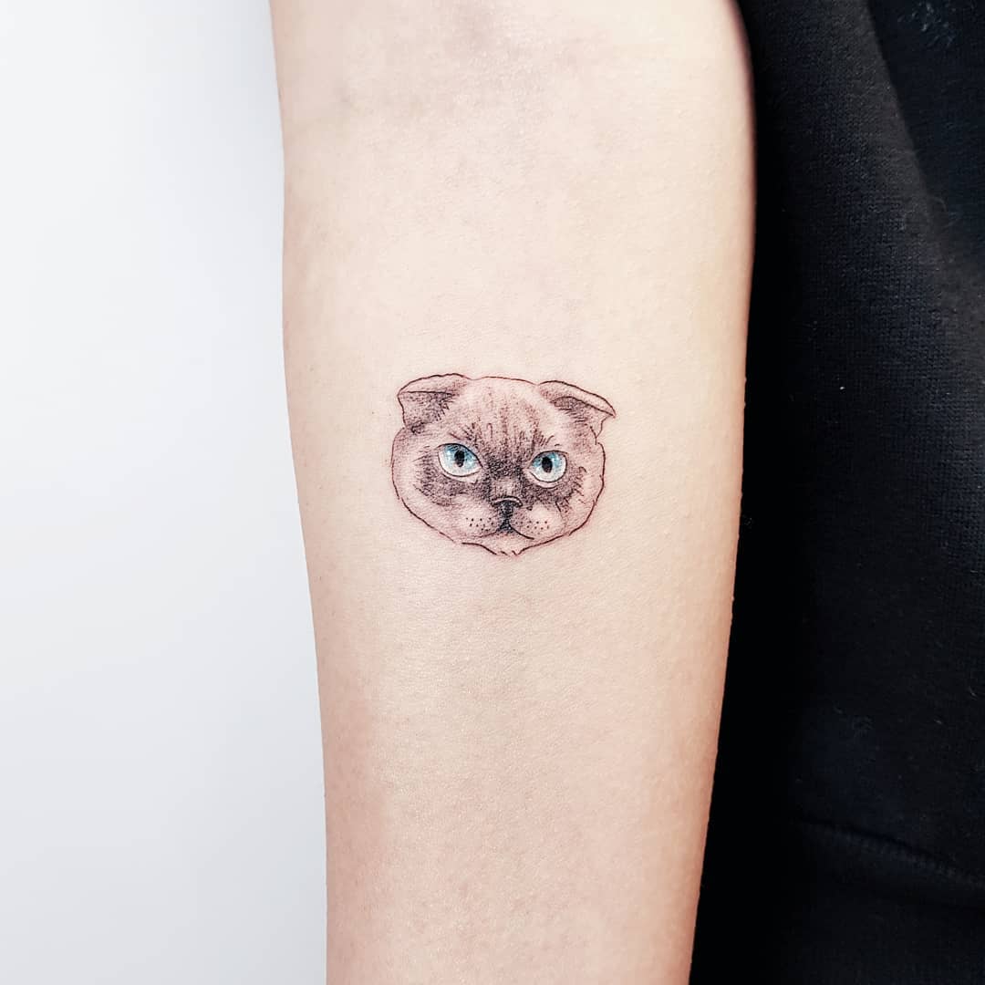Tattoo gatto by @by vas