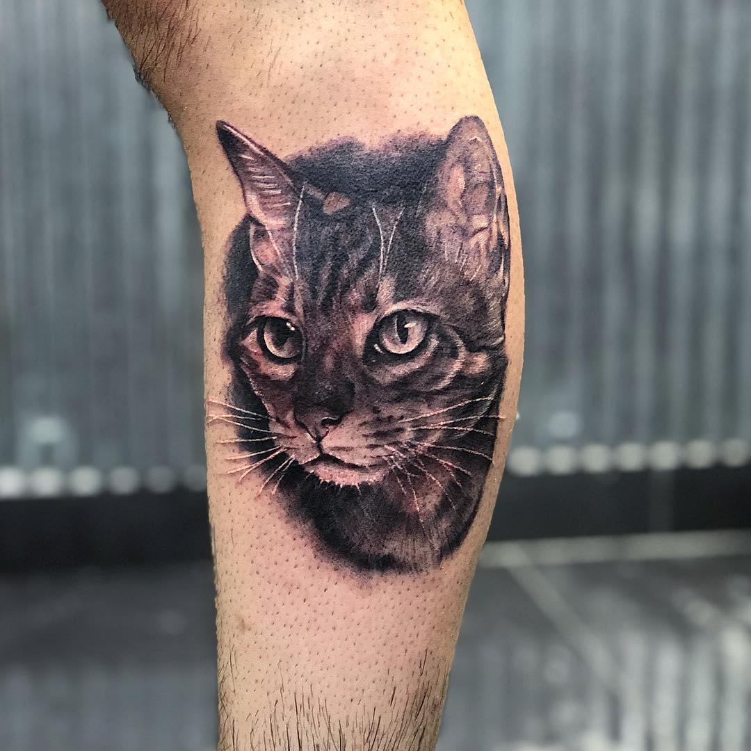 Tattoo gatto by @carlos arana tattoo