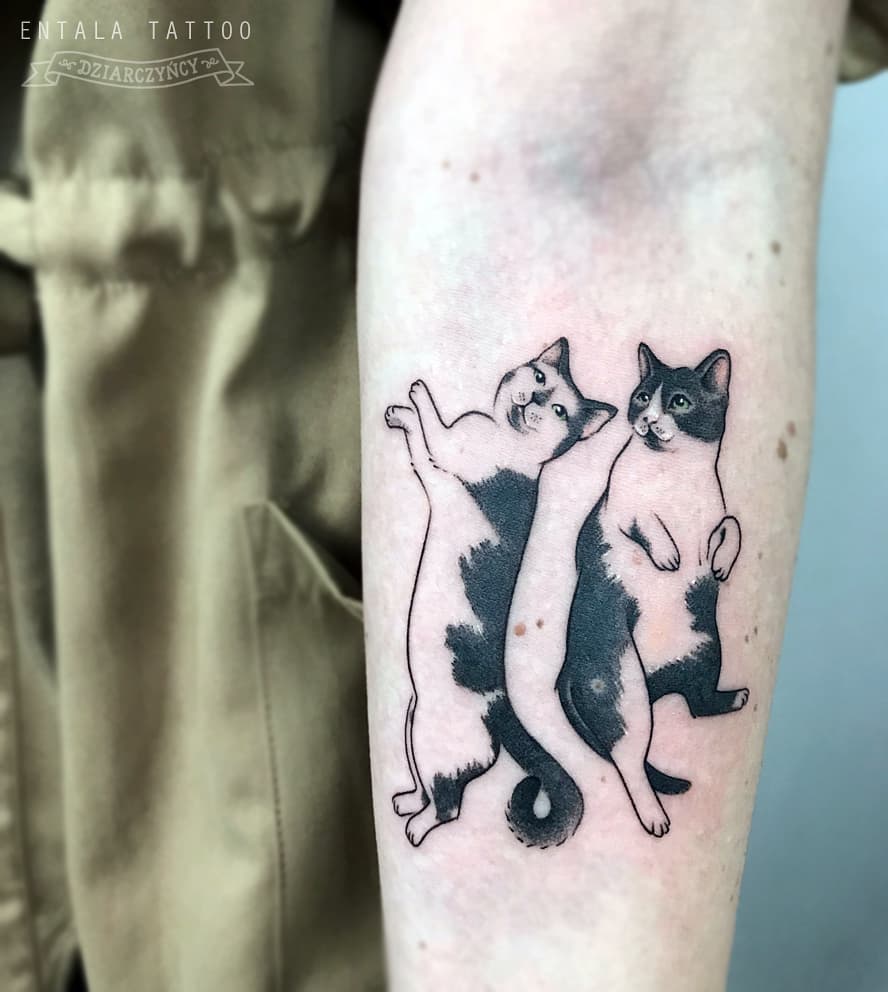 Tattoo gatto by @entala tattoo