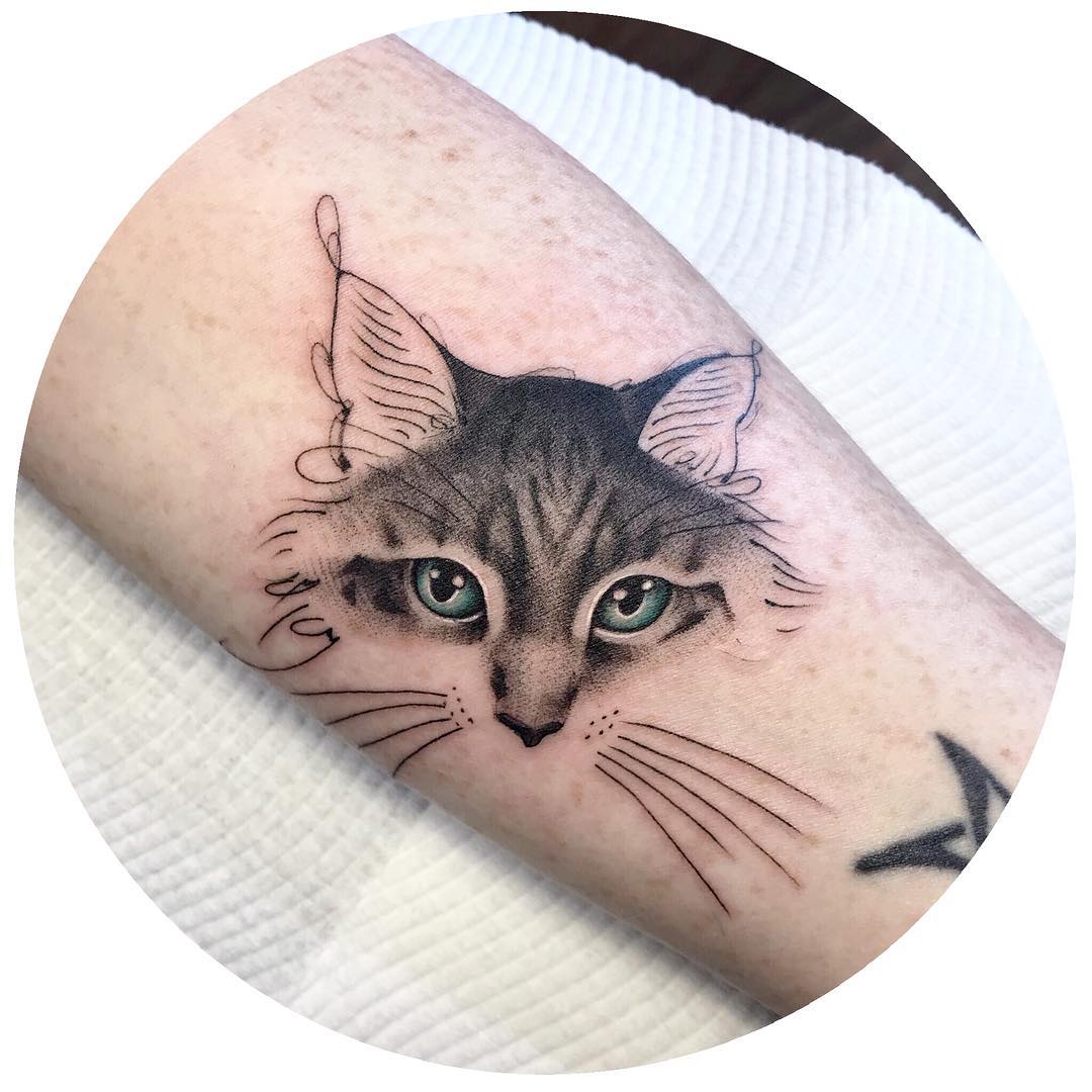 Tattoo gatto by @kiera tattoo