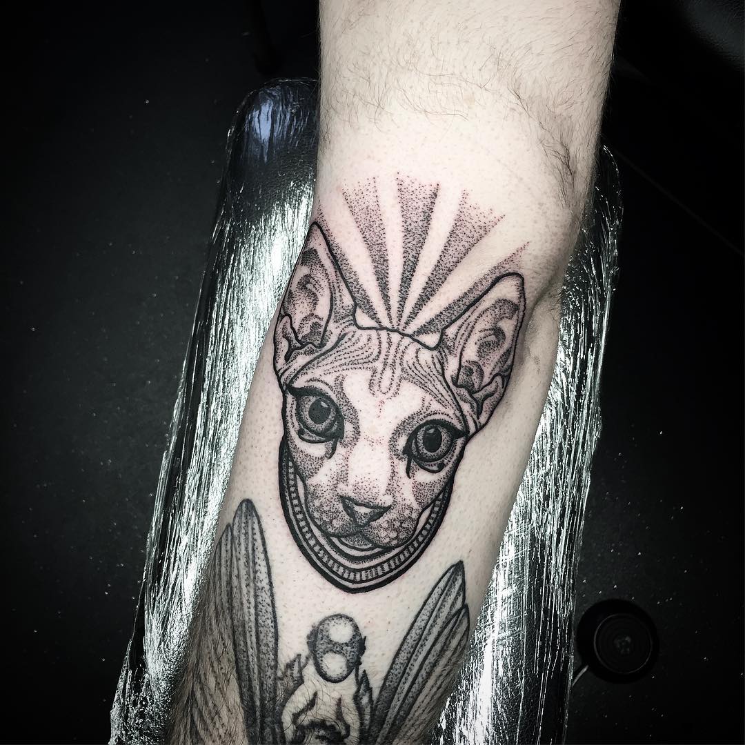 Tattoo gatto by @kirstietattoo