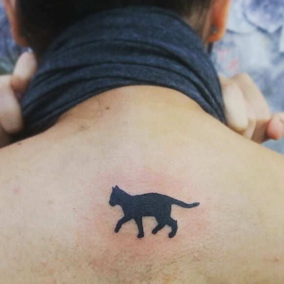 Tattoo gatto by @rowenatattooart