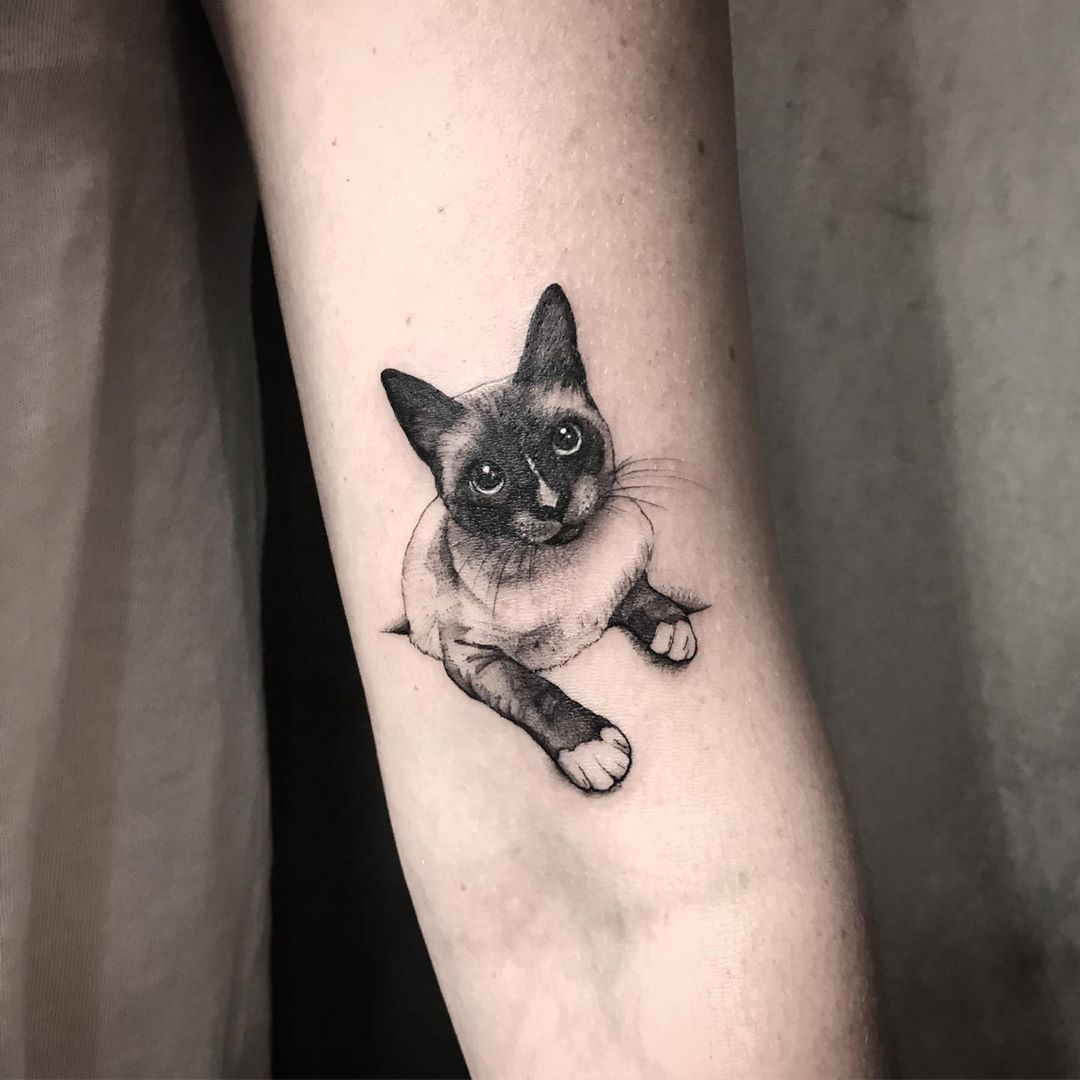 Tattoo gatto by @samanthatattoo