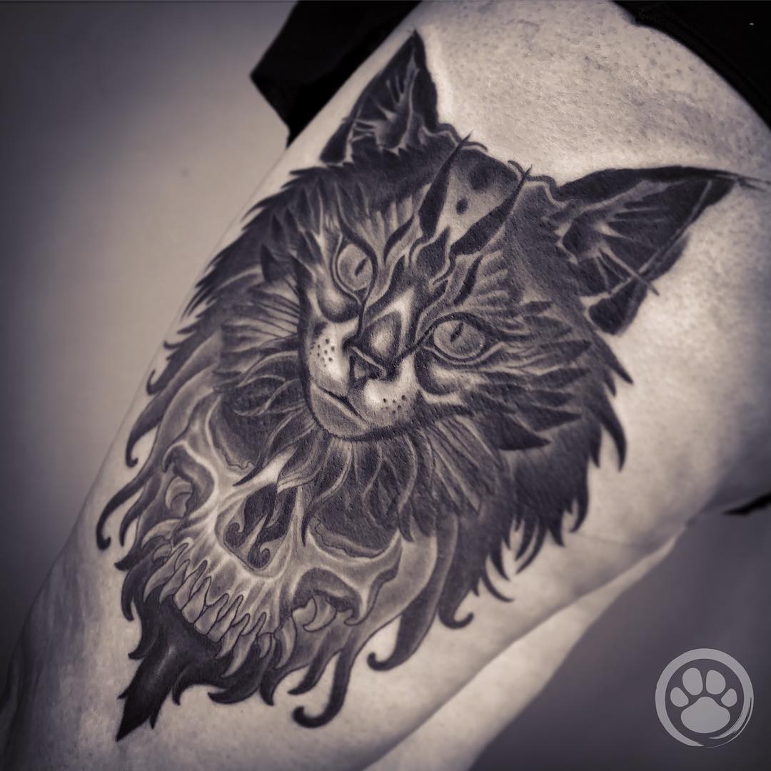 tattoo gatto by @tanuki tatto0