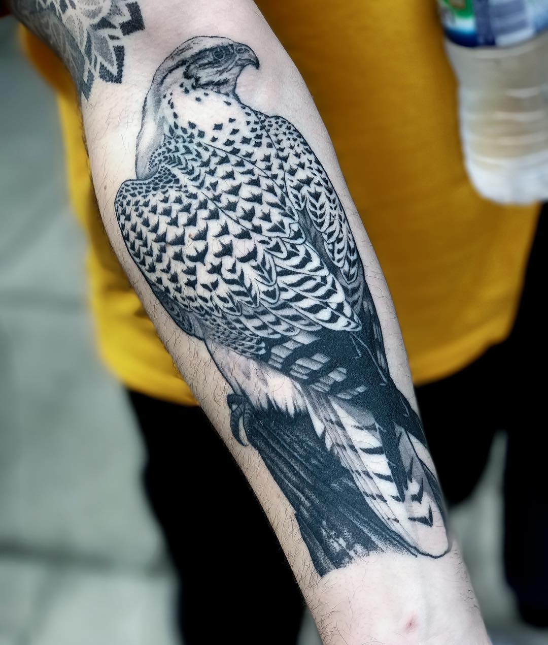 tatuaggio falco braccio by @ricktattoo