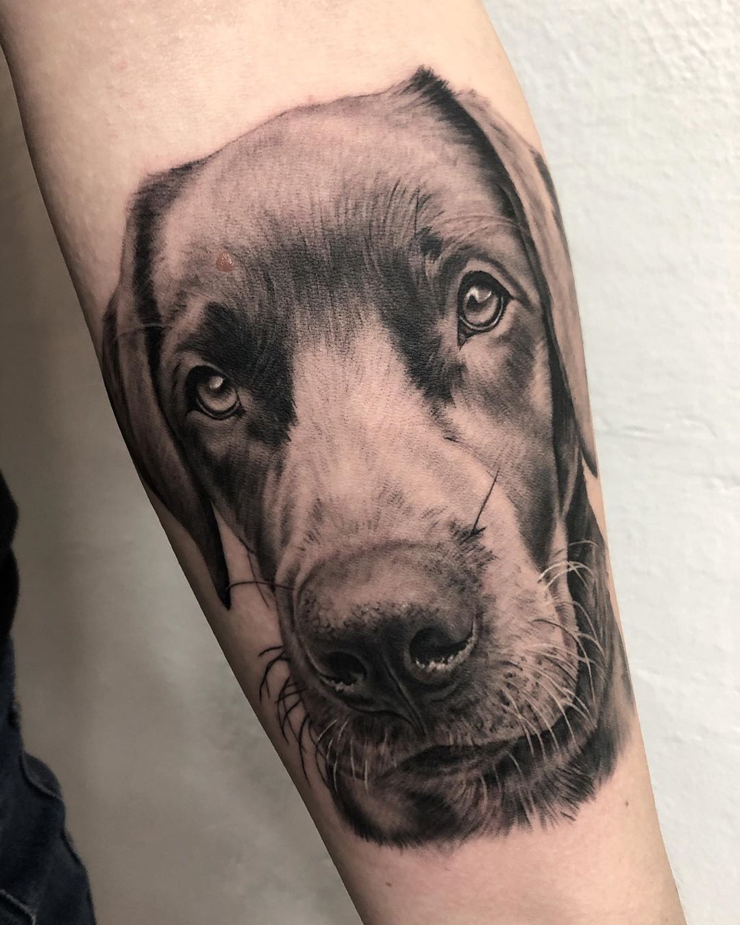 tatuaggio realistico cane by @kingsroadrebecca