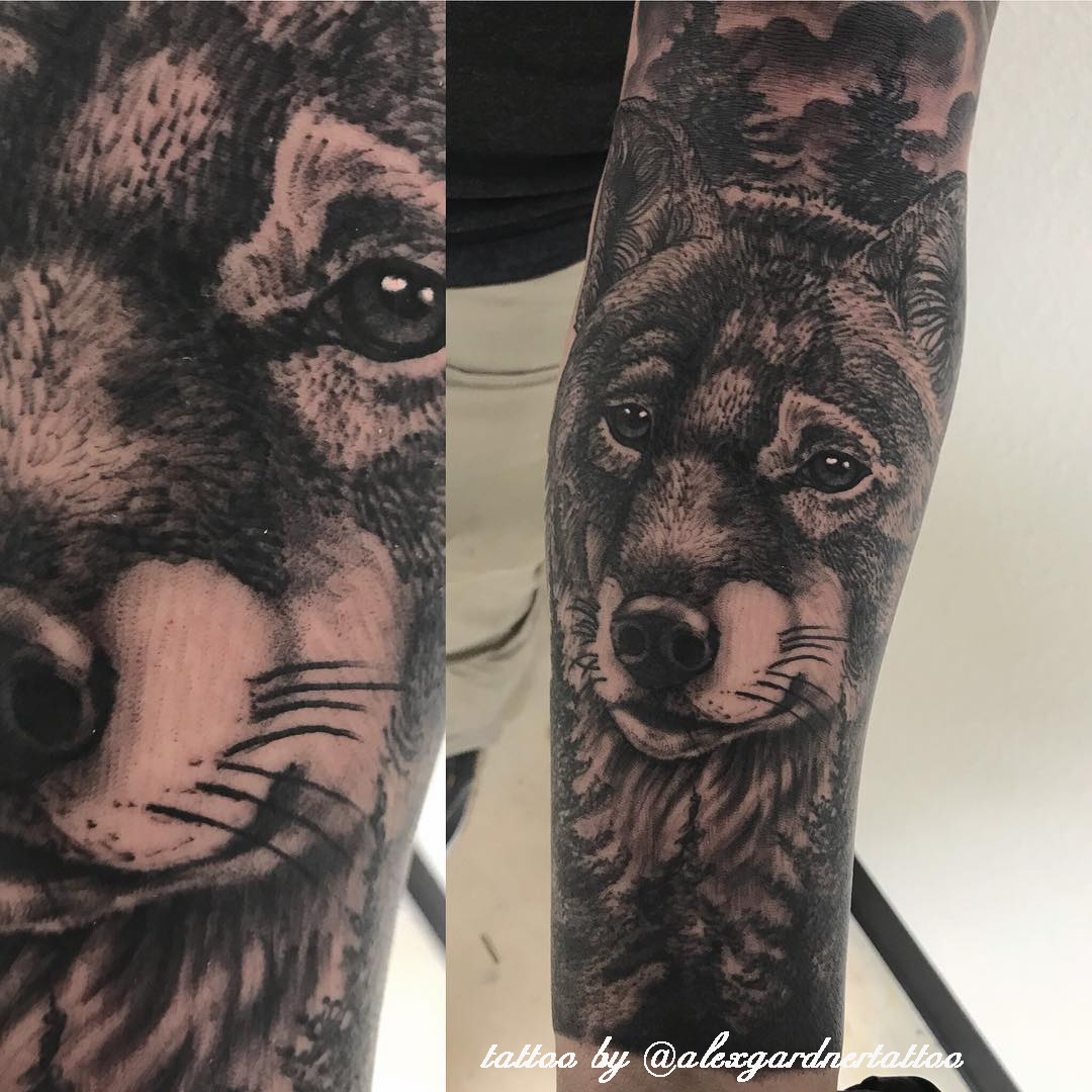 tatuaggio lupo realistico by @alexgardnertattoo