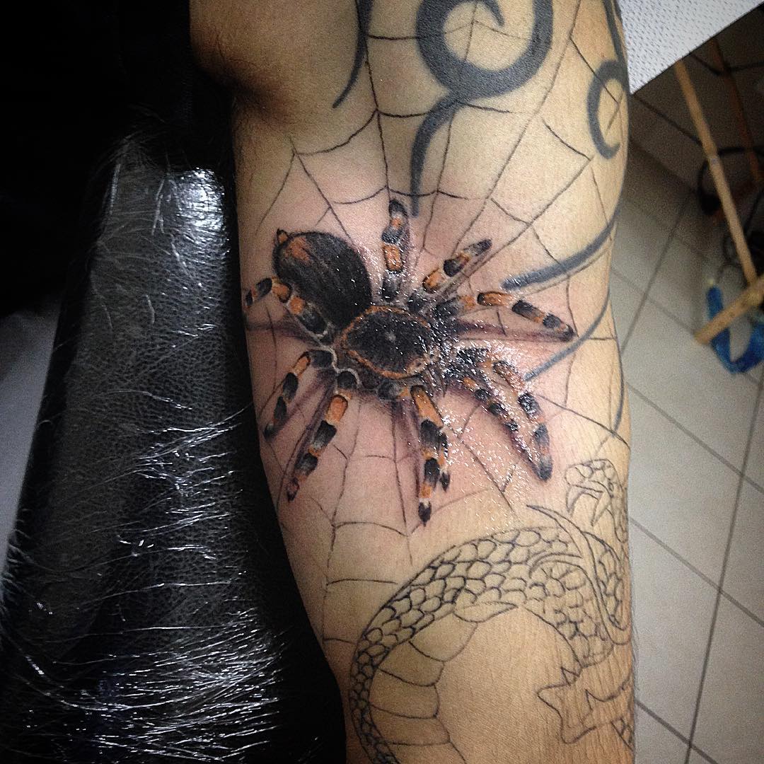 tarantola tattoo by @millecoloritattoo