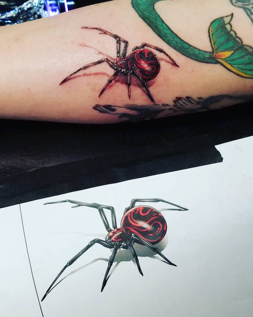 tattoo spider 3D by @r3voloottat