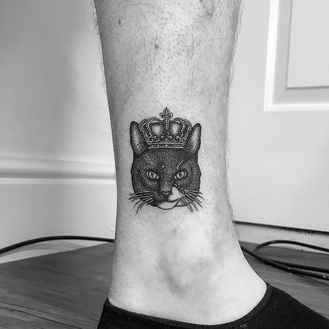 tatuaggio blackwork gatto by @daisyhestertattoo 6